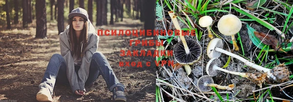 амф Алексеевка
