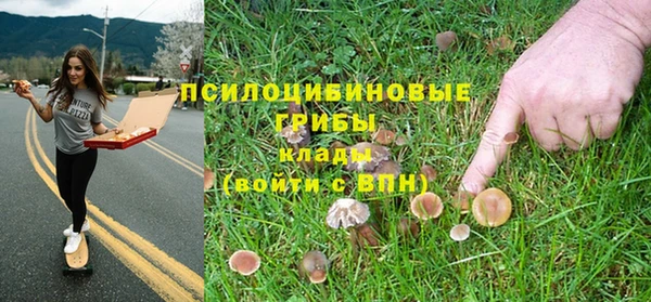 бутират Алексин