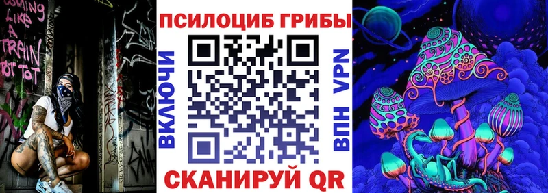 Псилоцибиновые грибы Psilocybe Игарка